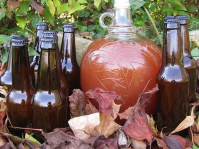 Mead-Making 101 with a Recipe for Blueberry-Peach Cyser Image